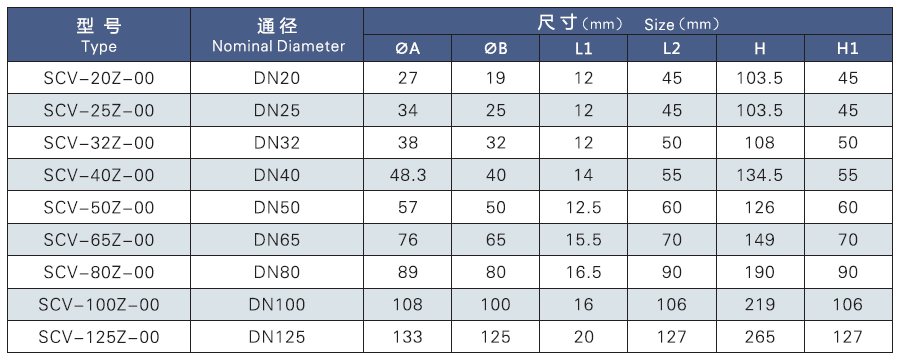 直角止回阀(pic3)
