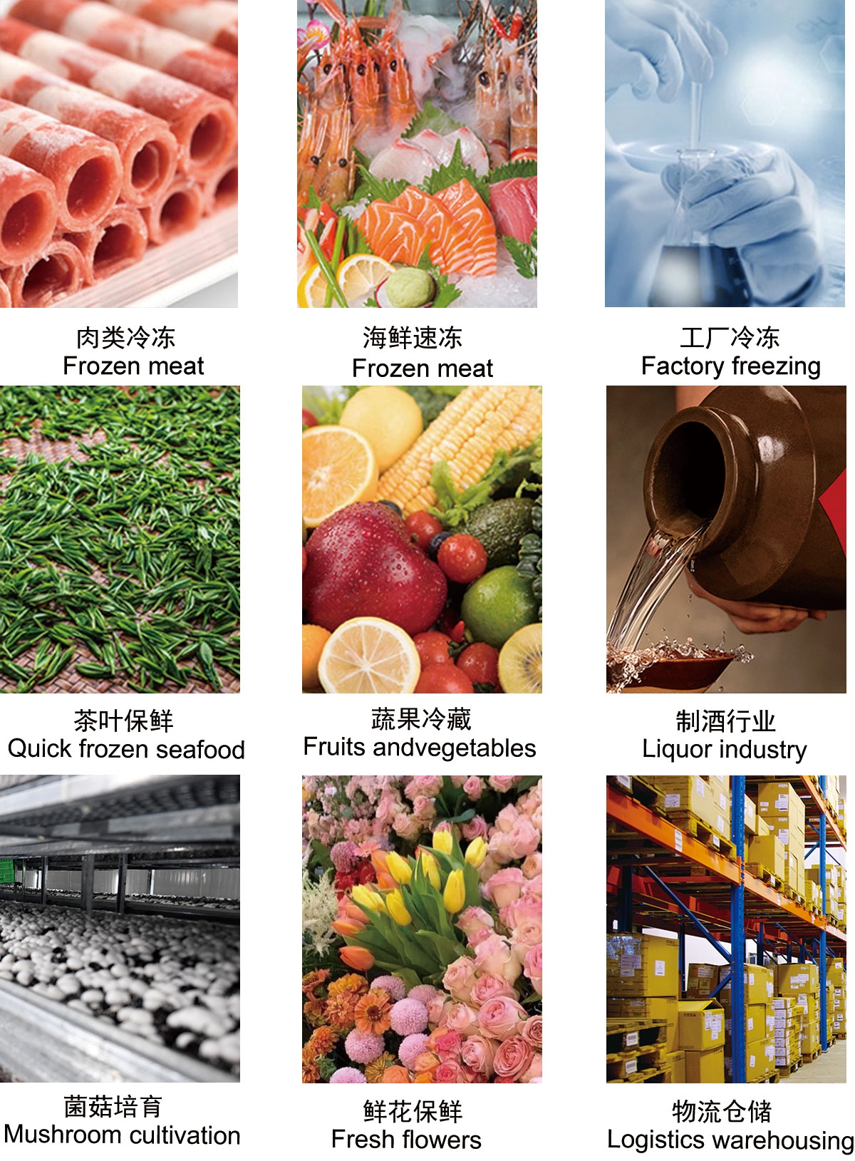 比泽尔中低温活塞机 活塞机制冷机组(pic3)